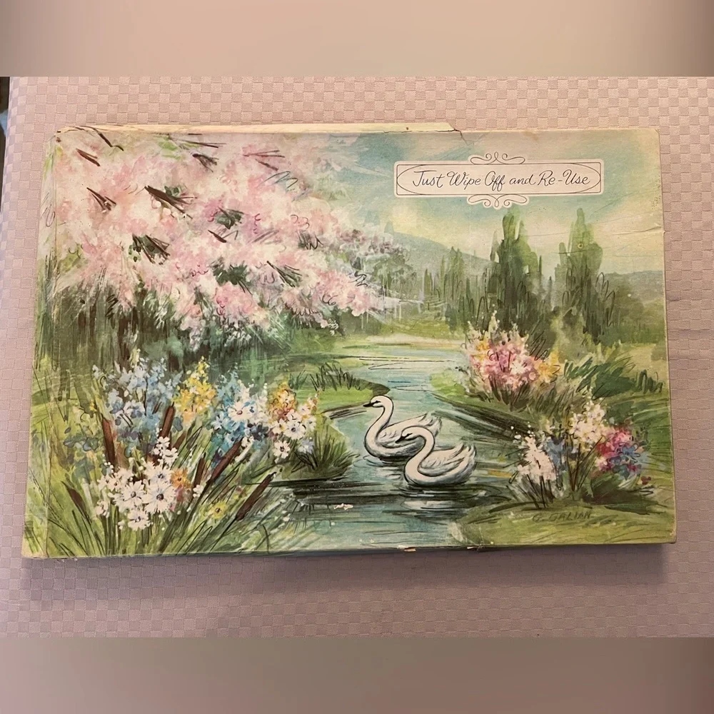 Vintage reusable country cottage/floral 15” x10” placemats by G. Galian in box.
